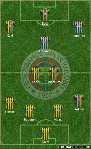 Fenerbahçe SK Formation 2013