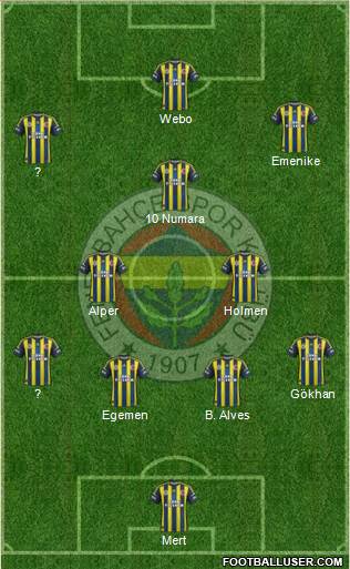 Fenerbahçe SK Formation 2013