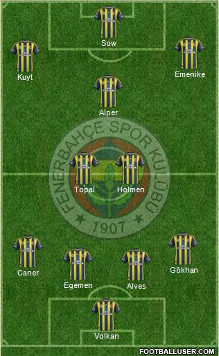Fenerbahçe SK Formation 2013