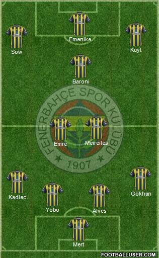 Fenerbahçe SK Formation 2013