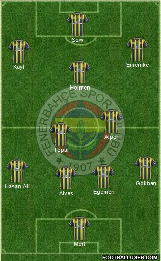 Fenerbahçe SK Formation 2013