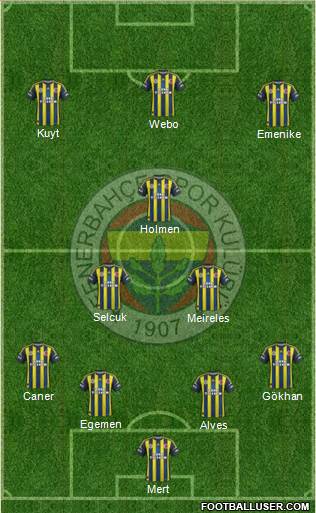 Fenerbahçe SK Formation 2013