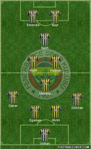 Fenerbahçe SK Formation 2013