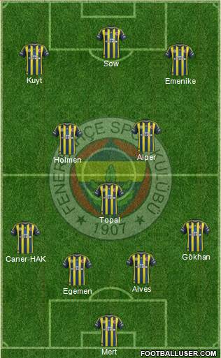 Fenerbahçe SK Formation 2013