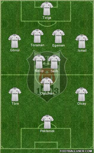 Besiktas JK Formation 2013