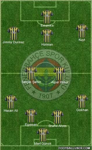 Fenerbahçe SK Formation 2013