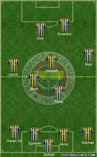 Fenerbahçe SK Formation 2013