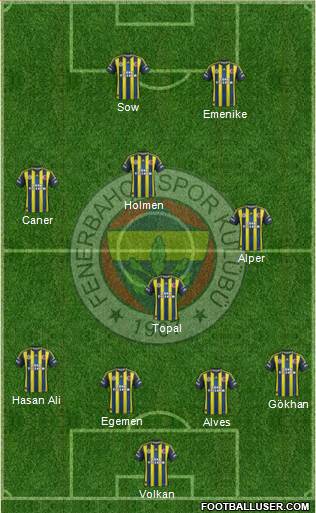 Fenerbahçe SK Formation 2013