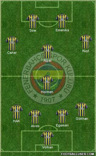 Fenerbahçe SK Formation 2013