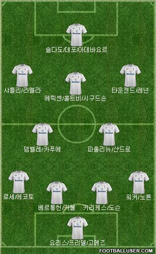 Tottenham Hotspur Formation 2013