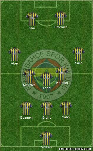 Fenerbahçe SK Formation 2013