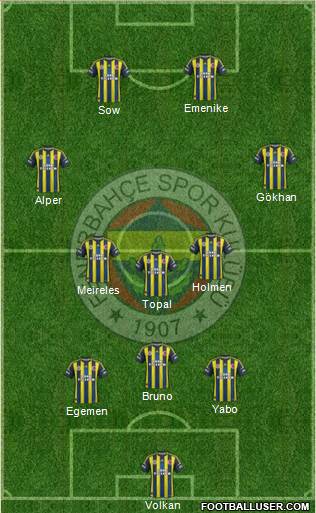 Fenerbahçe SK Formation 2013