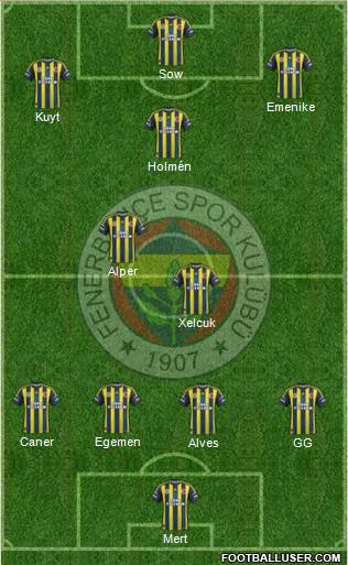 Fenerbahçe SK Formation 2013