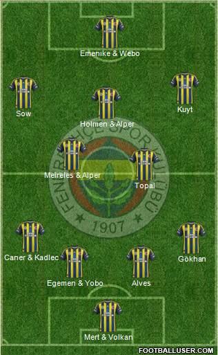 Fenerbahçe SK Formation 2013