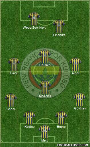 Fenerbahçe SK Formation 2013