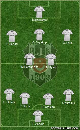 Besiktas JK Formation 2013