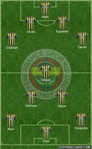 Fenerbahçe SK Formation 2013