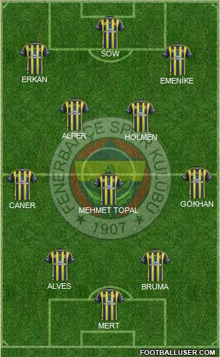 Fenerbahçe SK Formation 2013