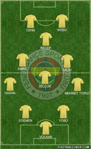 Fenerbahçe SK Formation 2013