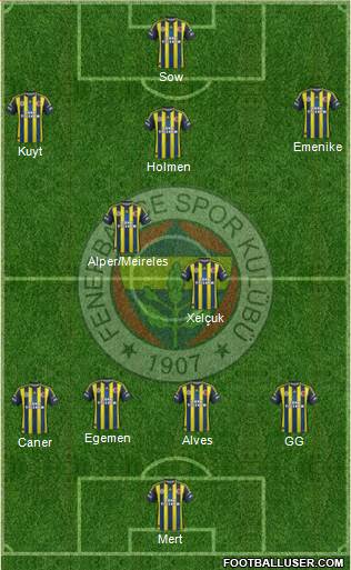 Fenerbahçe SK Formation 2013