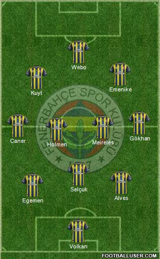 Fenerbahçe SK Formation 2013