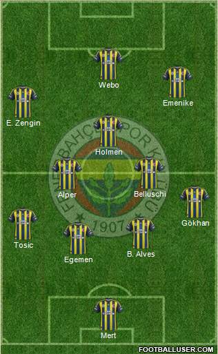 Fenerbahçe SK Formation 2013