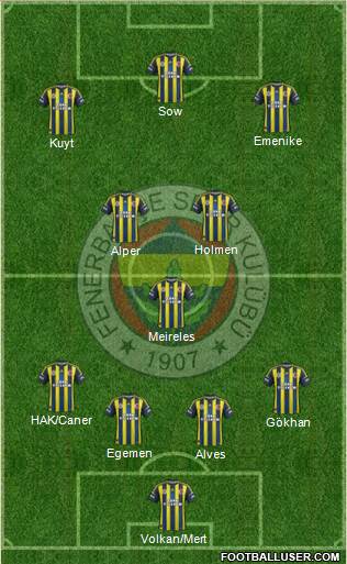 Fenerbahçe SK Formation 2013