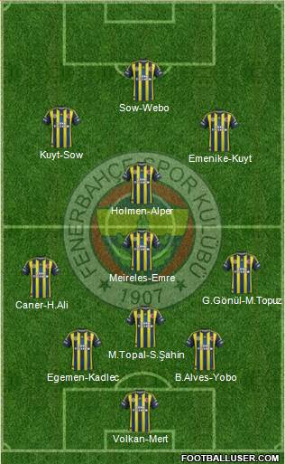 Fenerbahçe SK Formation 2013