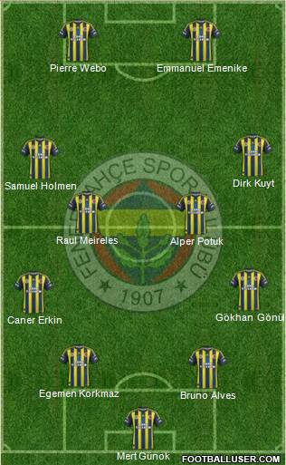 Fenerbahçe SK Formation 2013
