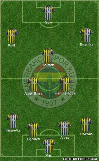 Fenerbahçe SK Formation 2013