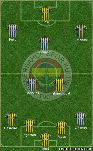 Fenerbahçe SK Formation 2013