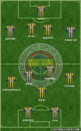 Fenerbahçe SK Formation 2013