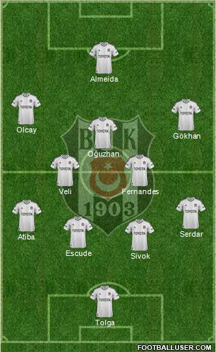 Besiktas JK Formation 2013