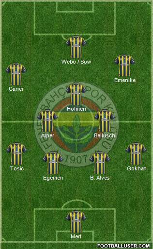 Fenerbahçe SK Formation 2013