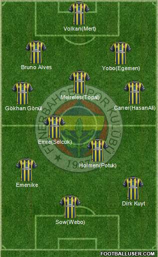 Fenerbahçe SK Formation 2013