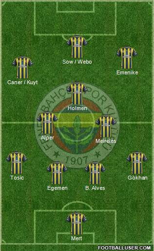 Fenerbahçe SK Formation 2013