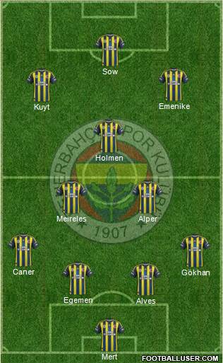 Fenerbahçe SK Formation 2013