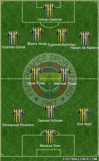 Fenerbahçe SK Formation 2013