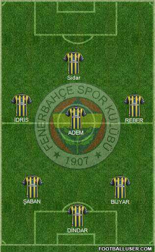 Fenerbahçe SK Formation 2013