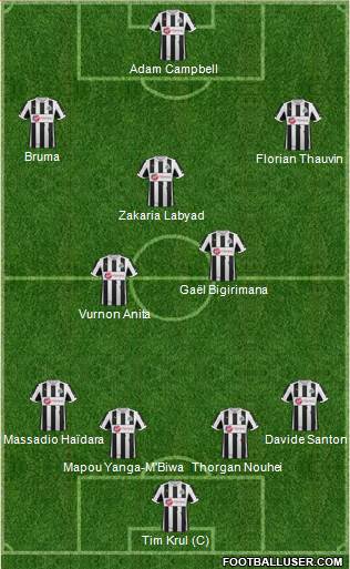 Newcastle United Formation 2013