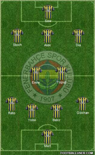 Fenerbahçe SK Formation 2013