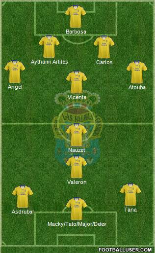 U.D. Las Palmas S.A.D. Formation 2013