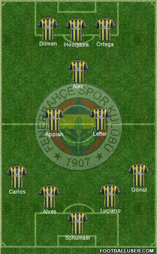 Fenerbahçe SK Formation 2013