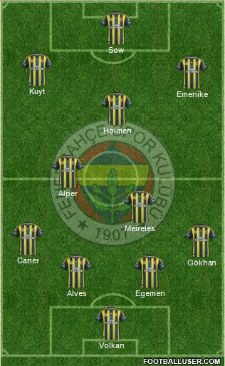 Fenerbahçe SK Formation 2013