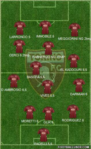 Torino Formation 2013