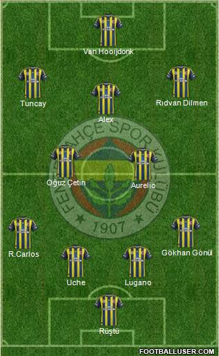 Fenerbahçe SK Formation 2013