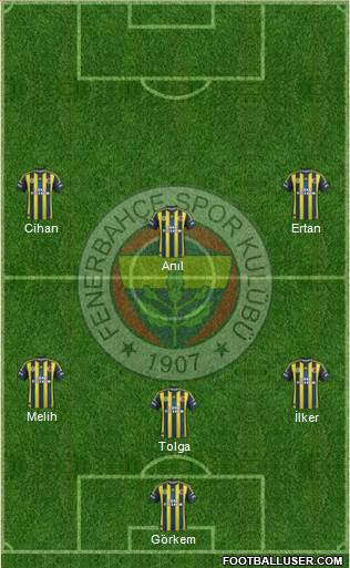 Fenerbahçe SK Formation 2013