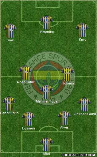 Fenerbahçe SK Formation 2013