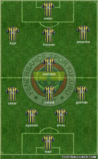 Fenerbahçe SK Formation 2013