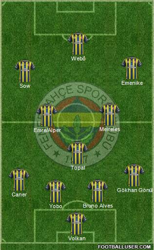 Fenerbahçe SK Formation 2013